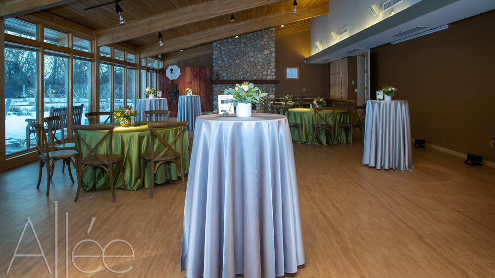 Spacious event room with tall tables, silver table covers, and floral centerpieces, overlooking snowy landscape through large windows. Logo: Allee