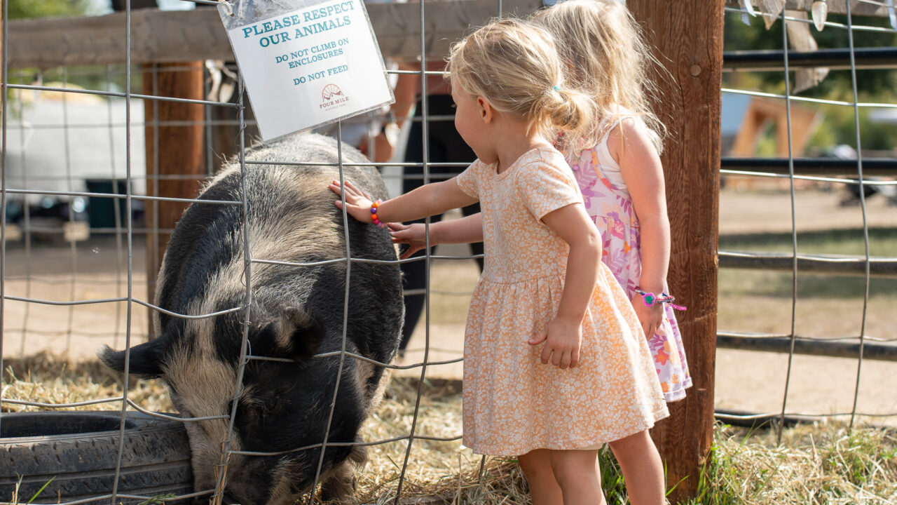 Dos niños acarician a un cerdo a través de una valla en la que se lee: «Por favor, respeten a nuestros animales. No se suban a los recintos. No les den de comer».