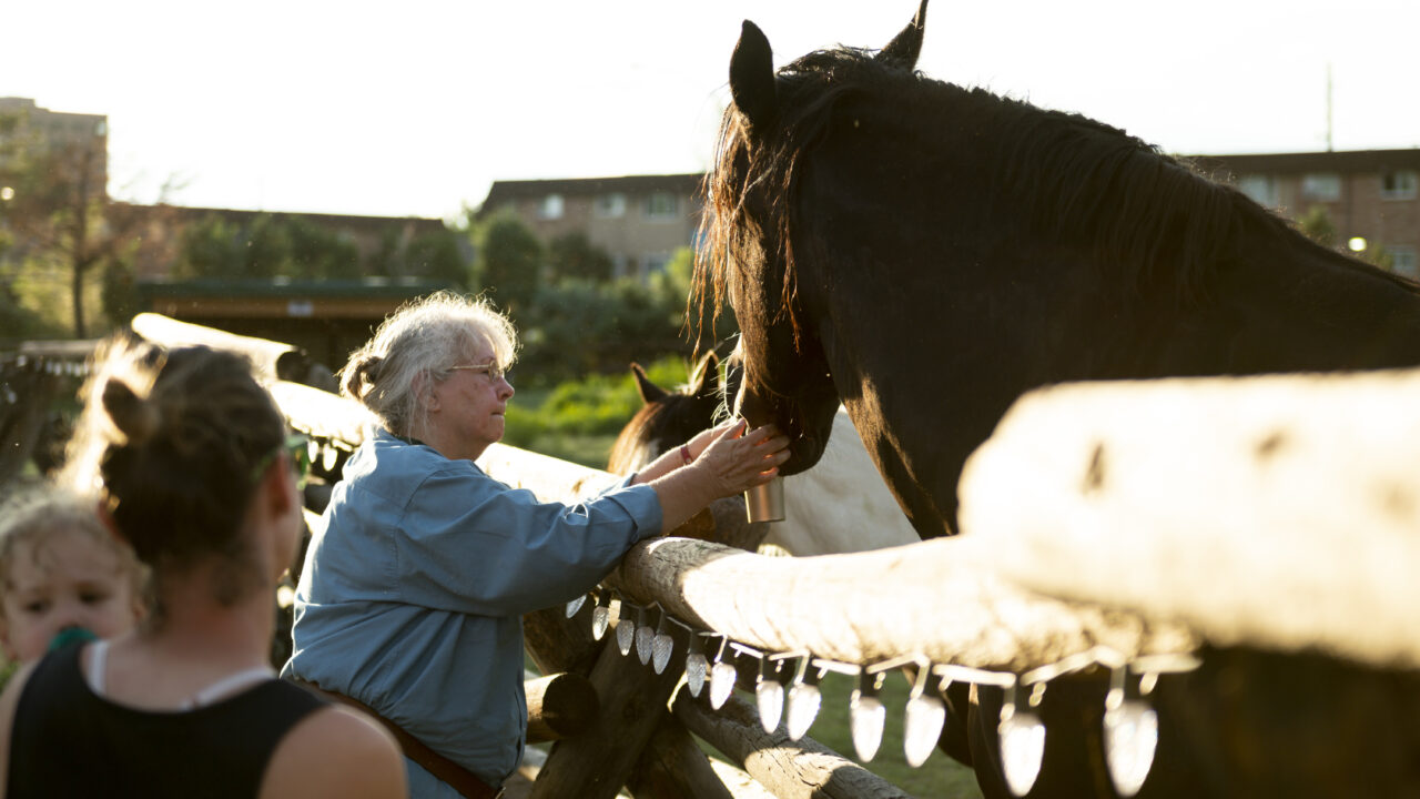 Una mujer mayor que da de comer a un caballo por encima de una valla de madera, con otra persona cerca, a la luz del sol