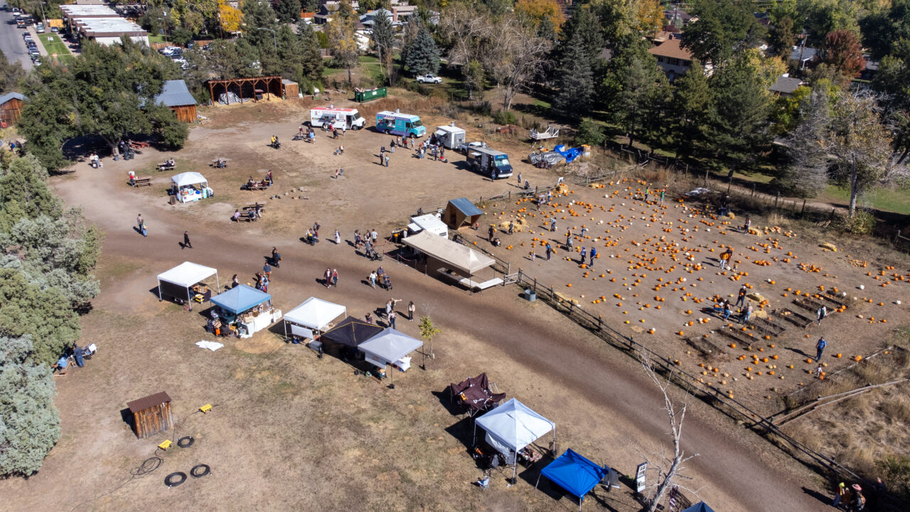 Vista aérea de un festival en un huerto de calabazas con carpas, food trucks y visitantes dispersos que exploran las calabazas