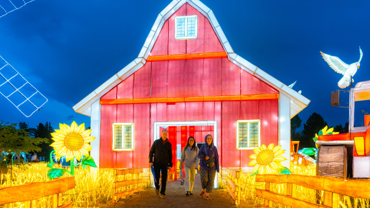 Tres personas caminando por la noche frente a un granero rojo iluminado, rodeado de adornos de girasoles